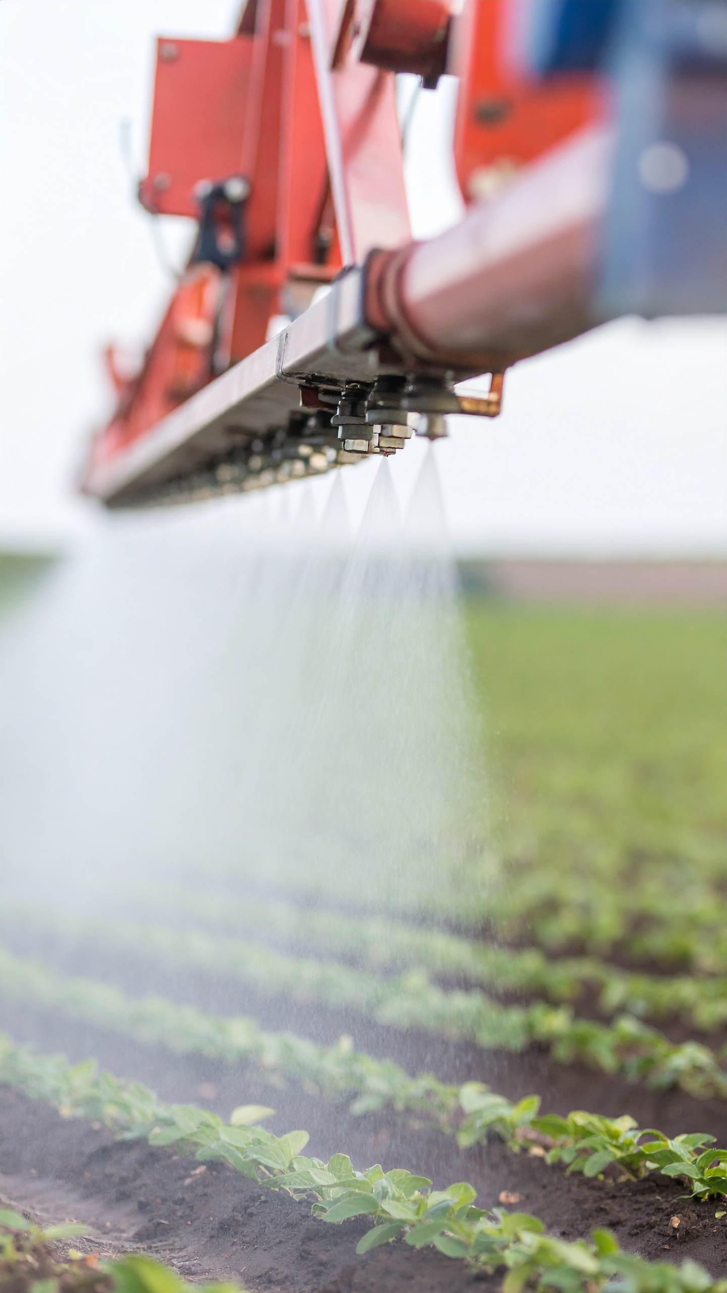 Suda Çözünebilir Gübreler