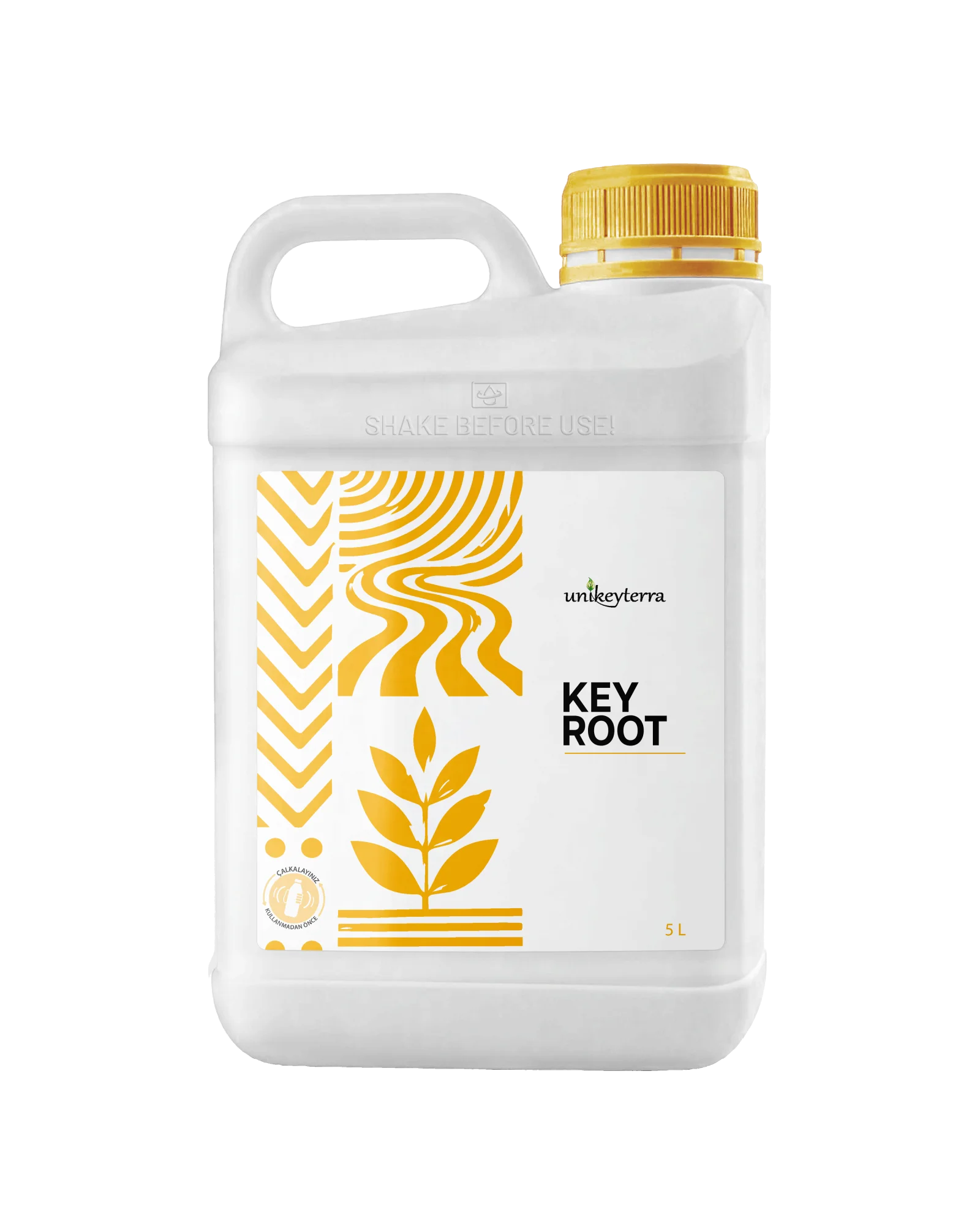 KEY ROOT