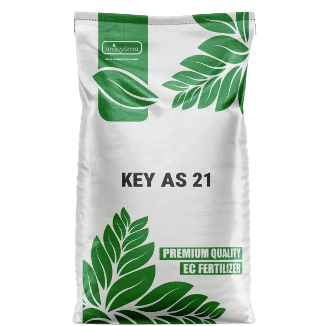KEY AS 21