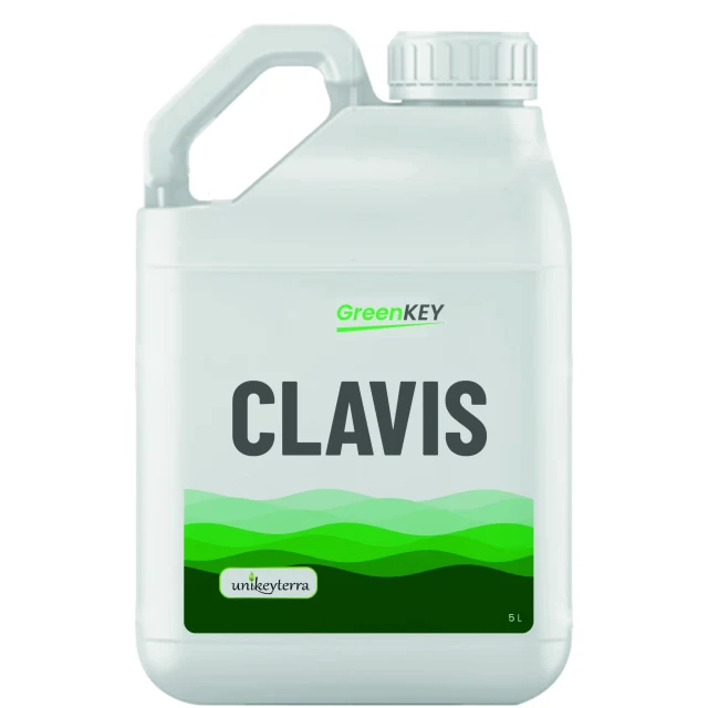 GreenKey CLAVIS
