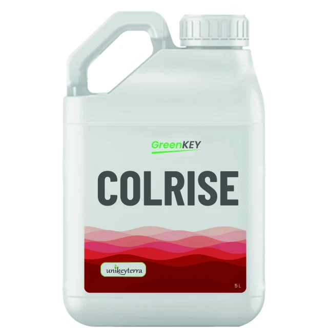 GreenKey Colrise