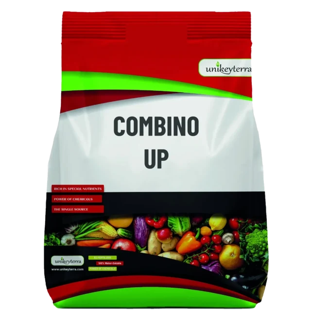 GreenKey COMBINO UP