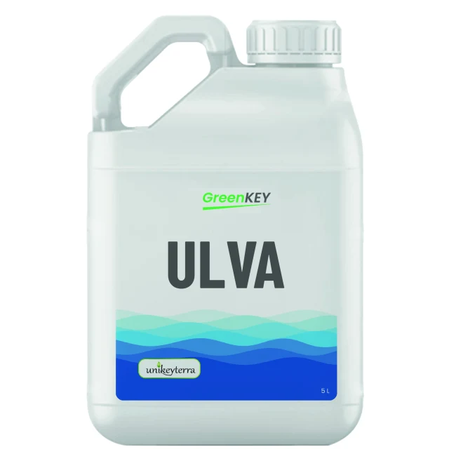 GreenKey Ulva