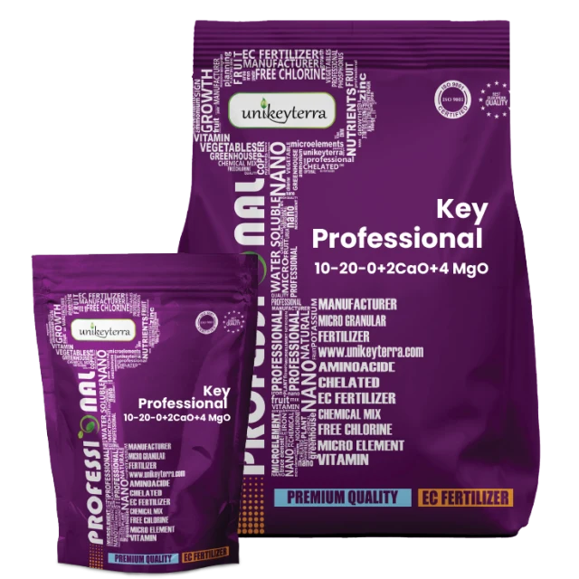 Key Professional 10-20-0+2CaO+4MgO