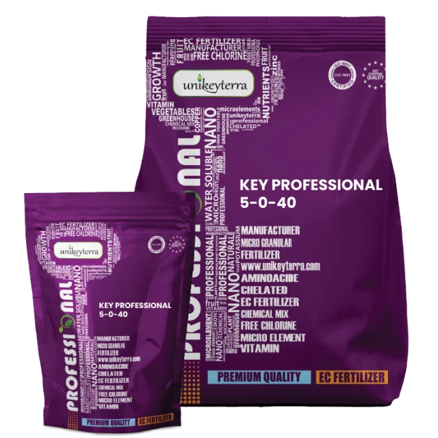 Key Professional 5-0-40
