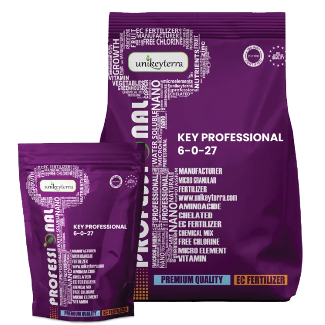 Key Professional 6-0-27 + 6 CaO + 4 MgO