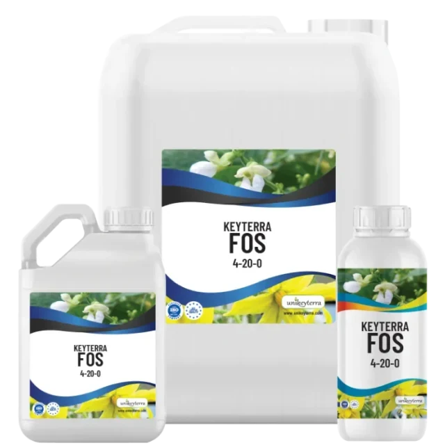 KEYTERRA FOS 4-20-0