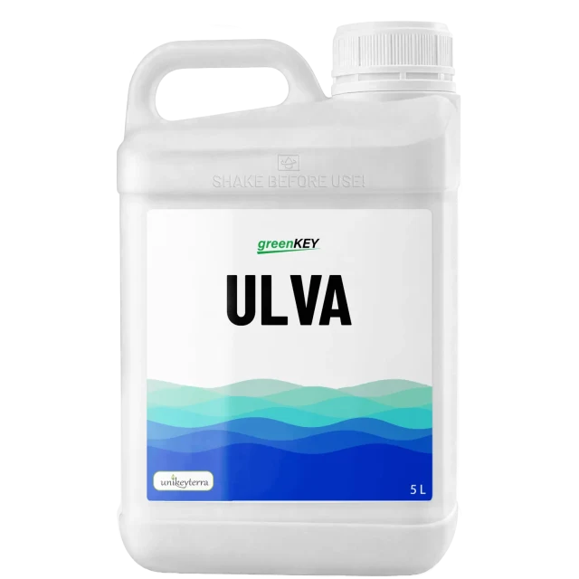 GreenKey Ulva