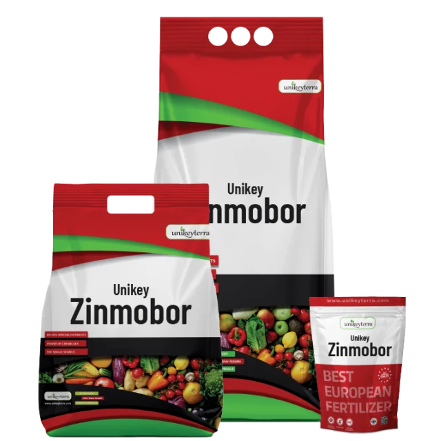 Uni Zinmobor