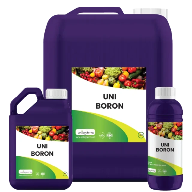 Uni Boron