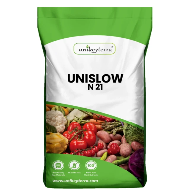UniSlow N21