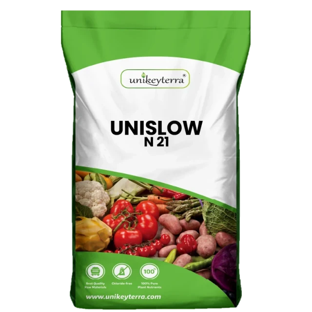 UniSlow N21