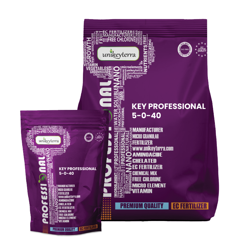 Key Professional 5-0-40