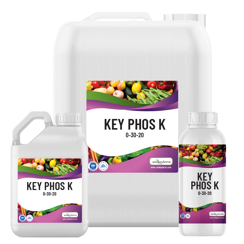 KEYPHOS K 0-30-20