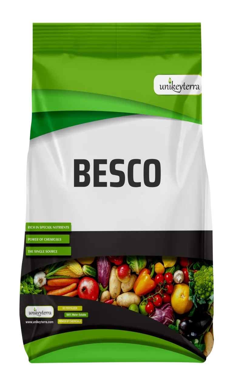 GreenKey Besco