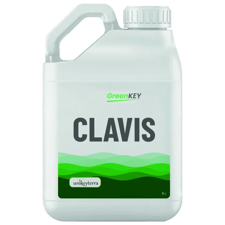GreenKey CLAVIS