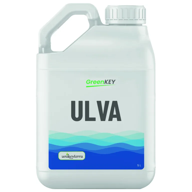 GreenKey Ulva