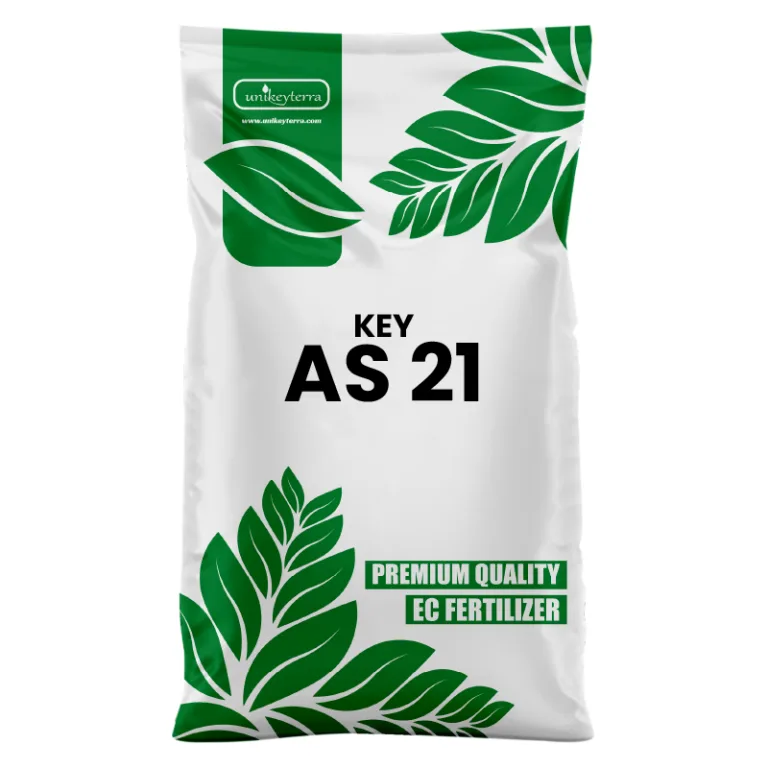 KEY AS 21