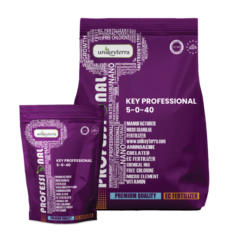 Key Professional 5-0-40