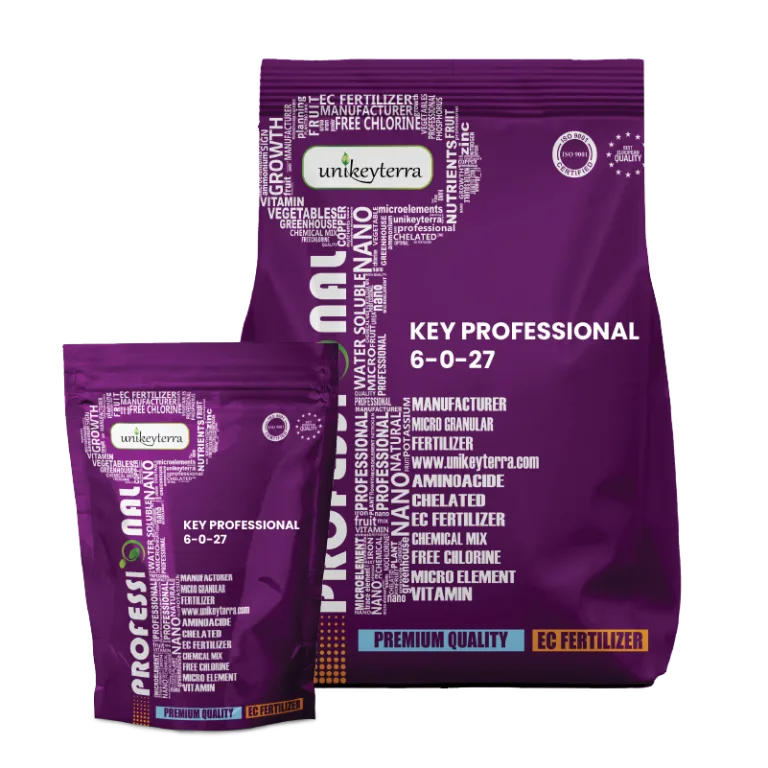 Key Professional 6-0-27 + 6 CaO + 4 MgO