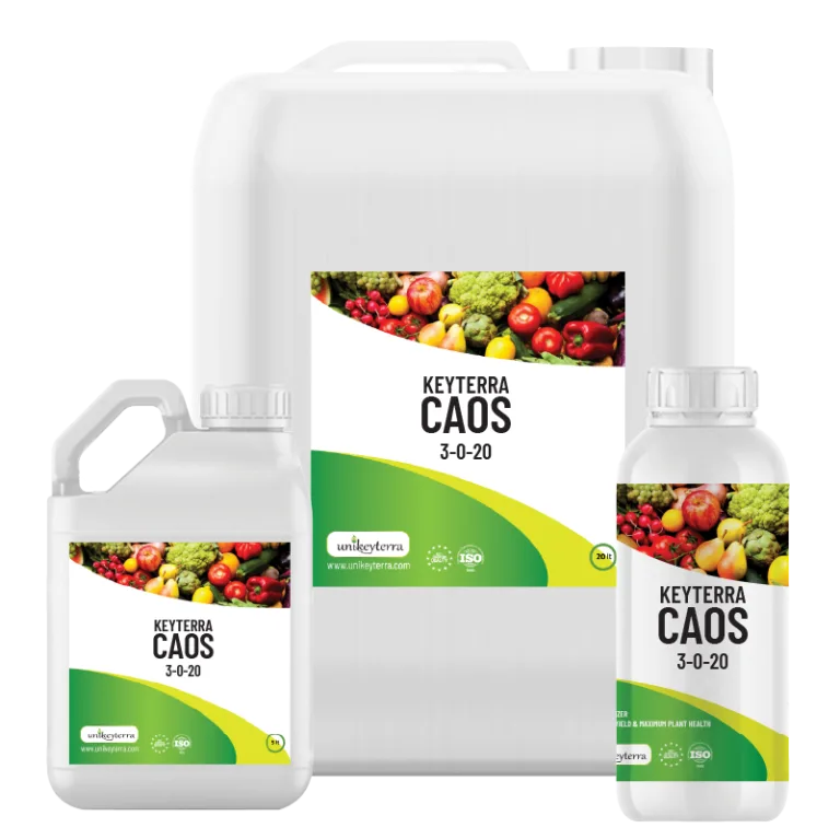 KEYTERRA CAOS 3-0-20