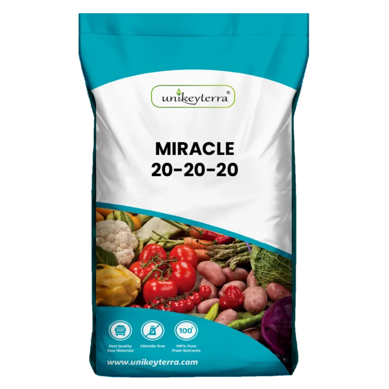 Miracle 20-20-20+TE