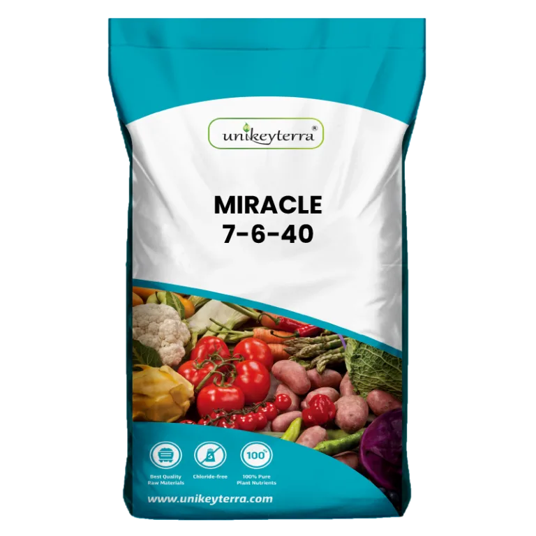 Miracle 7-6-40+TE