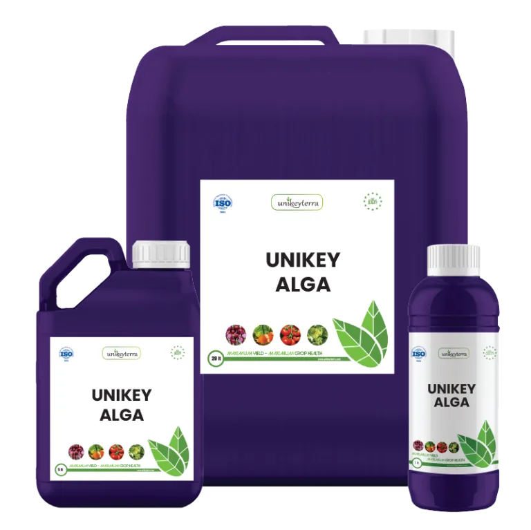 Unikey Alga