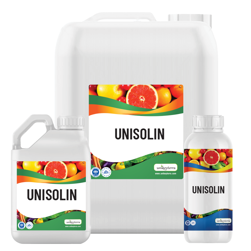 Uni Solin