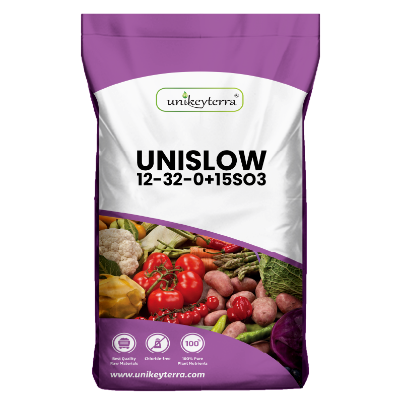 UniSlow 12-32-0+15SO3