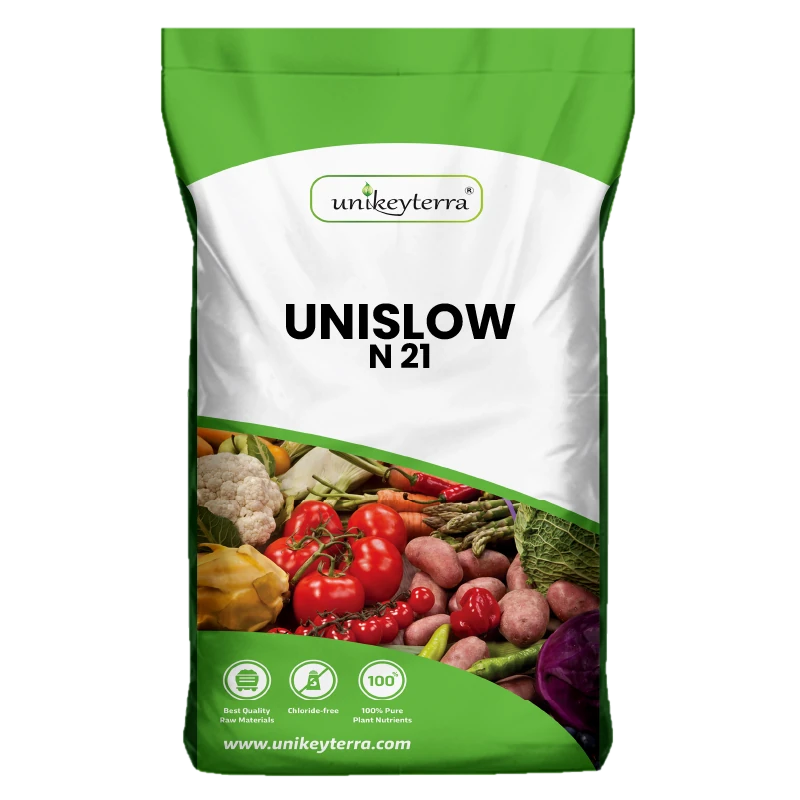 UniSlow N21