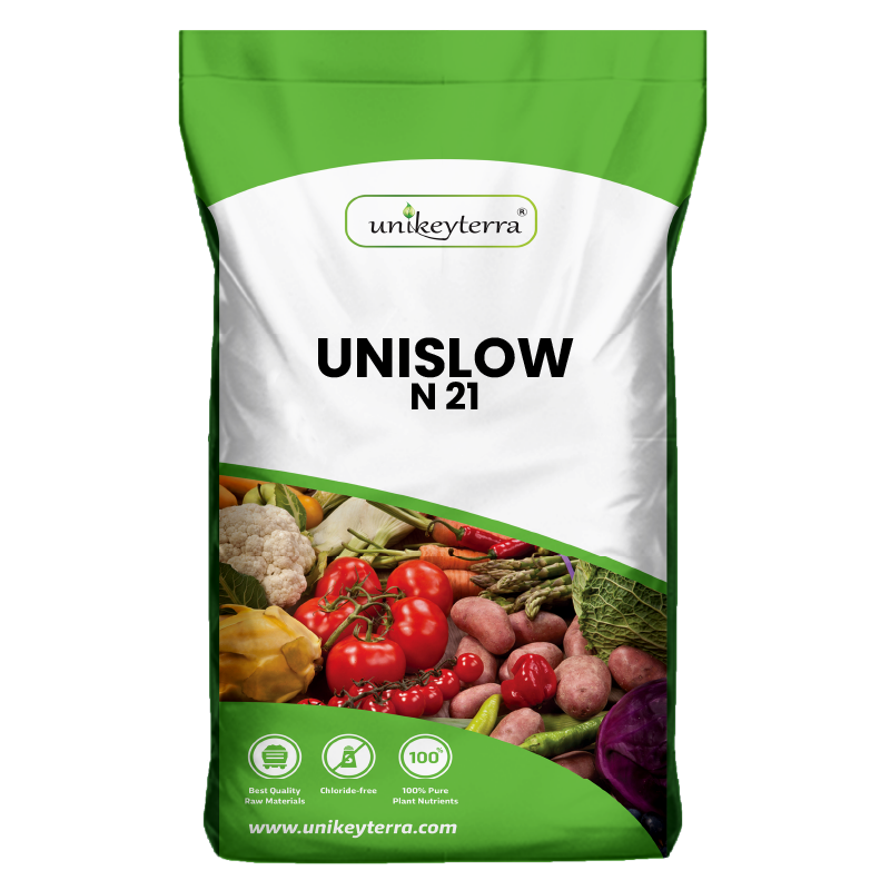 UniSlow N21